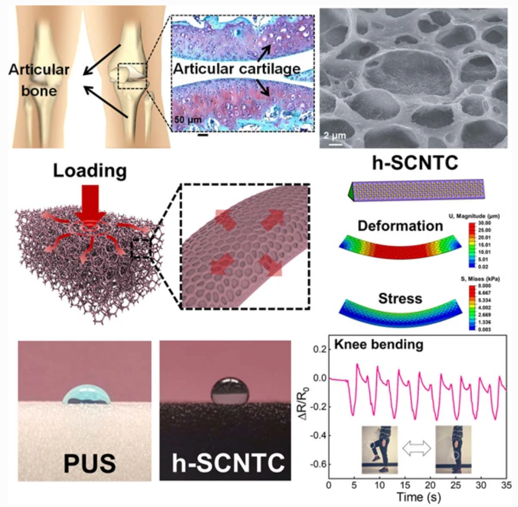 Articular Cartilage-inspired 3D Superelastic And Fatigue-resistant ...